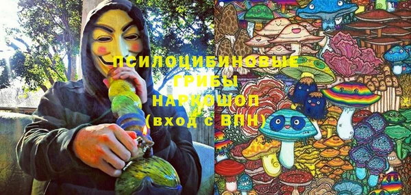 ПСИЛОЦИБИНОВЫЕ ГРИБЫ Верхний Тагил