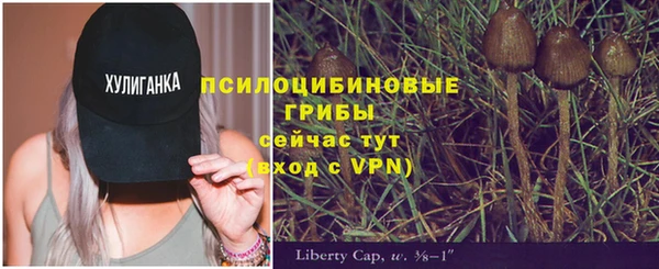 ПСИЛОЦИБИНОВЫЕ ГРИБЫ Верхний Тагил